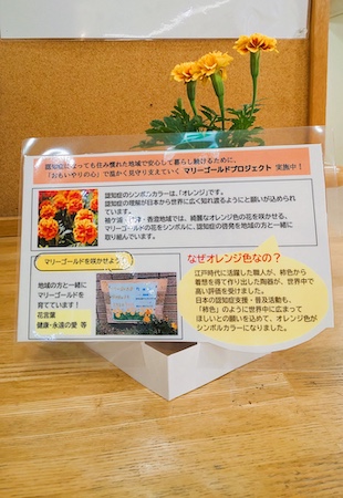 認知症