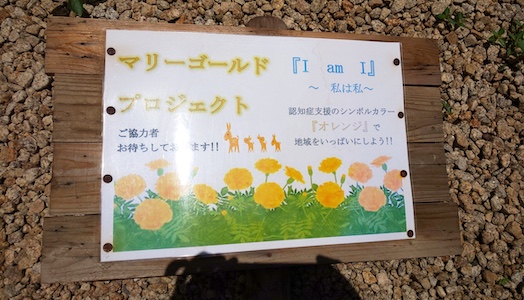 認知症