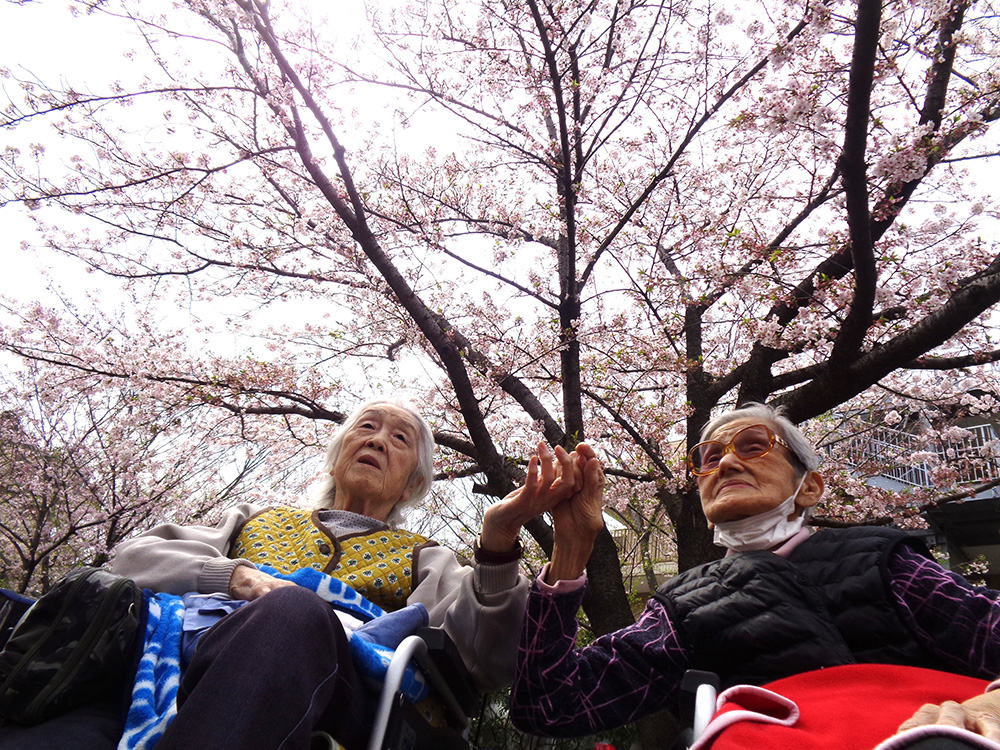 花見