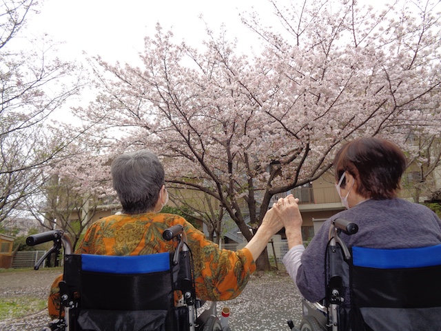 お花見に行きました！