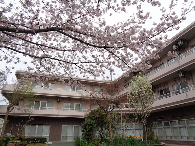 お花見に行きました！