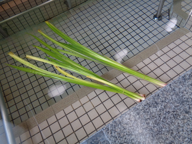端午の節句